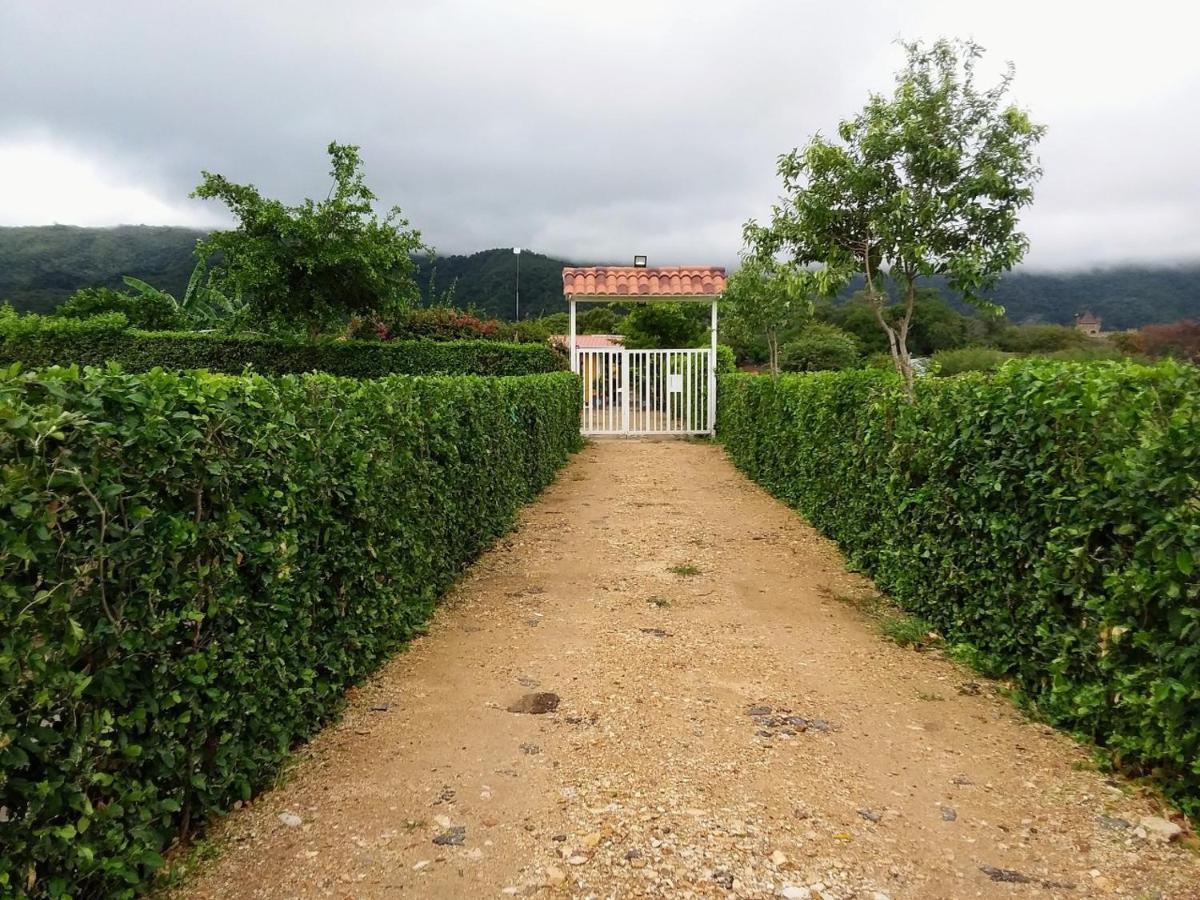 C&H campestre el oasis Bed and Breakfast Ricaurte Exterior foto