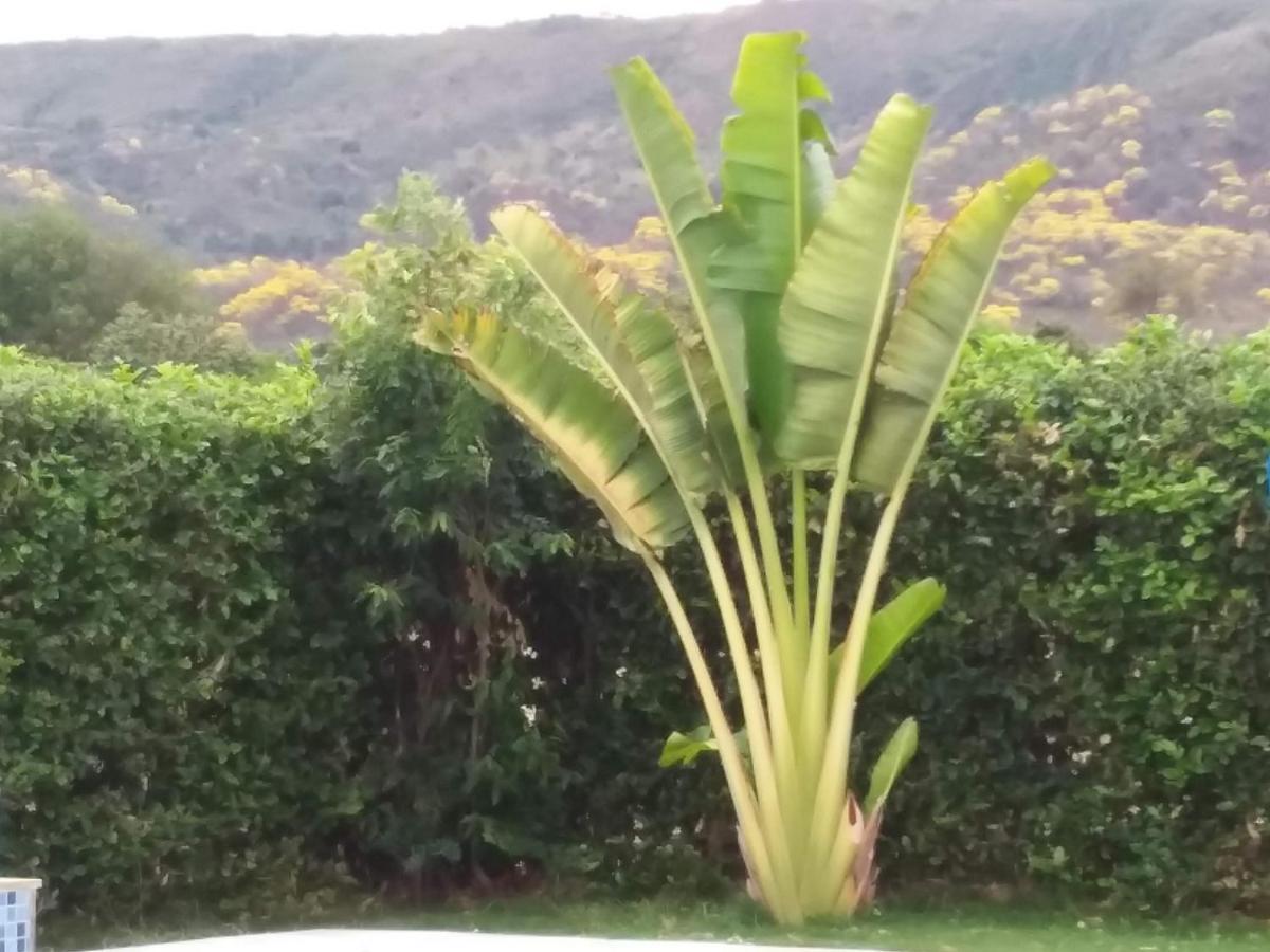C&H campestre el oasis Bed and Breakfast Ricaurte Exterior foto
